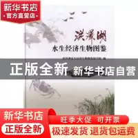 正版 洪泽湖水生经济生物图鉴 洪泽湖水生经济生物图鉴编写组编