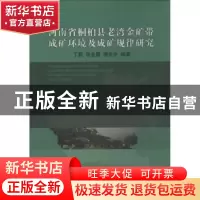 正版 河南省桐栢县老湾金矿带成矿环境及成矿规律研究 丁莉 地质