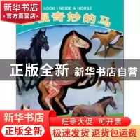 正版 透视奇妙的马 [英]大卫·乔治·戈登 科学普及出版社 97871100