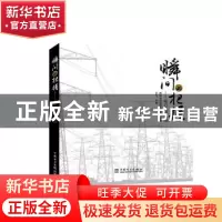 正版 瞬间的把握:电力摄影实践 王飞主编 中国电力出版社 978751