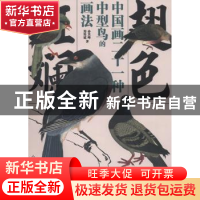 正版 翅色斑斓:中国画二十一种中型鸟的画法 孙其峰,郑隽延 编