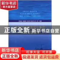 正版 水利行业勘测设计单位HSE管理应用 巩瑞连等编著 中国水利水