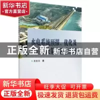 正版 水电系统预报、优化及多目标决策方法及应用 王文川著 科学