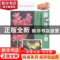 正版 计算机基础项目教程:Windows 7+Office 2010 左伟志 人民邮