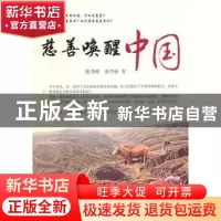 正版 慈善唤醒中国 陈秀峰,张华侨著 中国社会科学出版社 9787