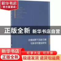正版 治理视野下民俗习惯与新农村建设研究 郭剑平等著 中国政法