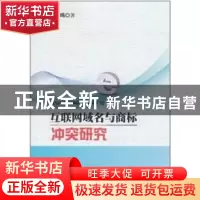 正版 互联网域名与商标冲突研究 蒋剑鸣著 中国人民公安大学出版