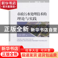 正版 市政污水处理技术的理论与实践 林海 等编 中国环境出版社 9