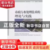 正版 市政污水处理技术的理论与实践 林海 等编 中国环境出版社 9