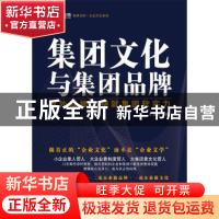 正版 集团文化与集团品牌:内外双修,铸就集团软实力 王吉鹏著 企