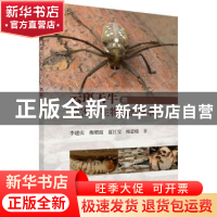 正版 云斑天牛的危害与生物防治技术 李建庆 等 科学出版社 97870