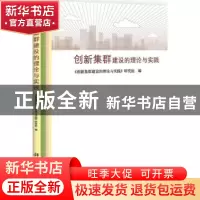 正版 创新集群建设的理论与实践 《创新集群建设的理论与实践》研