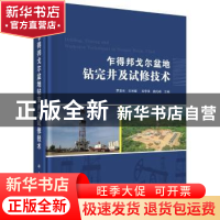 正版 乍得邦戈尔盆地钻完井及试修技术 罗淮东 等 科学出版社 978