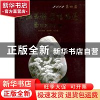正版 2012第四届上海玉龙奖精品选:玉的艺术天地 钱振峰,马立群