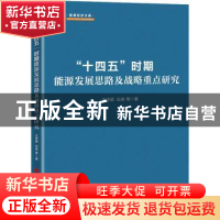 正版 “十四五”时期能源发展思路及战略重点研究::: 王仲颖,