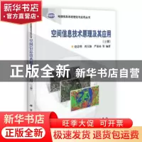 正版 空间信息技术原理及其应用:上册 赵忠明,严泰来,周天颖等 科