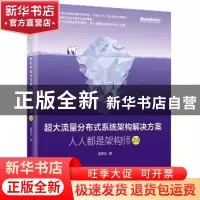 正版 超大流量分布式系统架构解决方案:人人都是架构师2.0 高翔
