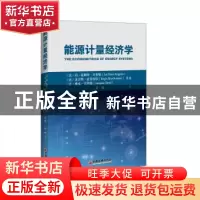 正版 能源计量经济学 (法)简.霍斯特.开普勒,(法)里吉斯.波