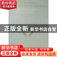 正版 宽容话语与承认的政治:中国现当代文论中的宽容论述及其相关