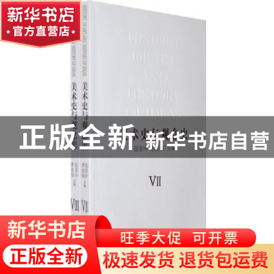 正版 美术史与观念史:Ⅶ~Ⅷ 范景中,曹意强主编 南京师范大学出