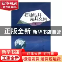 正版 石油钻井完井文集:下册 张绍槐著 石油工业出版社 978751832