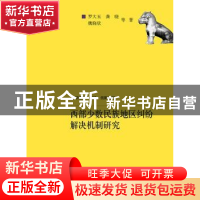 正版 西部少数民族地区纠纷解决机制研究 罗大玉 龚晓 魏晓欣 等