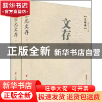 正版 许宗元文存:文学卷 许宗元 安徽文艺出版社 9787539631226