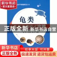 正版 龟类高效养殖模式攻略 周婷,王冬梅,翟飞飞编著 中国农业