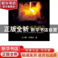 正版 钢铁企业两化融合 王大勇,张雪斌著 冶金工业出版社 978750