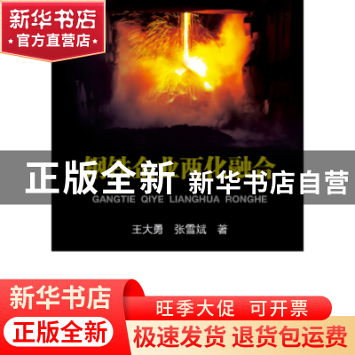 正版 钢铁企业两化融合 王大勇,张雪斌著 冶金工业出版社 978750