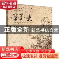正版 林林总总:卢景同作品集 卢景同著 安徽美术出版社 978753984