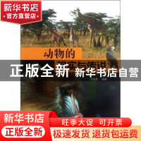 正版 动物的现实与传说 王金美编著 中国林业出版社 978750386436