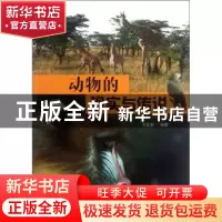 正版 动物的现实与传说 王金美编著 中国林业出版社 978750386436
