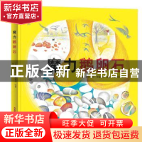 正版 魔力鹅卵石 (法)伊莎贝尔·辛姆莱尔绘著 新疆青少年出版社 9