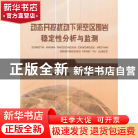 正版 动态开挖扰动下采空区围岩稳定性分析与监测 卢宏建,李示波