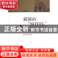 正版 新颖的“NOVEL”:20世纪90年代长篇小说文体论 王素霞著 光