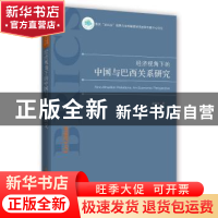 正版 经济视角下的中国与巴西关系研究 谌华侨著 时事出版社 9787