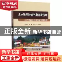 正版 含水致密砂岩气藏开发技术:以四川盆地中部须家河组为例 李