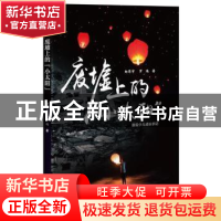 正版 废墟上的“小太阳” 向思宇,罗鸿著 四川文艺出版社 978754