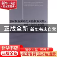 正版 农村剩余劳动力外出就业风险:预警与公共政策选择 谌新民著