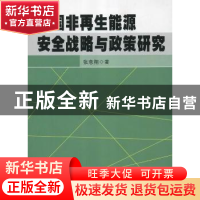 正版 中国非再生能源安全战略与政策研究 张意翔著 湖北人民出版
