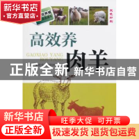 正版 高效养肉羊 宋传升,董传河 主 机械工业出版社 9787111497