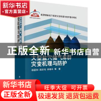 正版 大型盐穴储气库群灾变机理与防护 杨春和,周宏伟,李银平等