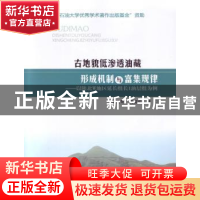 正版 古地貌低渗透油藏形成机制与富集规律:以陕北W地区延长组长1