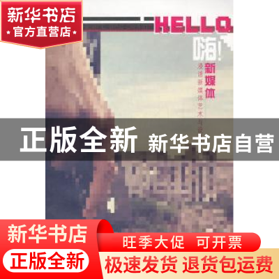 正版 嗨!新媒体:漫话新媒体艺术与设计 杨艺著 大连理工大学出版