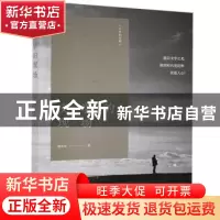 正版 文学的现场/文学的可能 杨庆祥 江苏凤凰文艺出版社 9787559