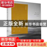 正版 文学写作与历史想象/文学的可能 杨庆祥 江苏凤凰文艺出版社