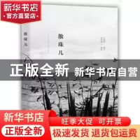 正版 散珠儿 邓燕婷 撰文, 爱美丽 摄影 广东人民出版社 9787218