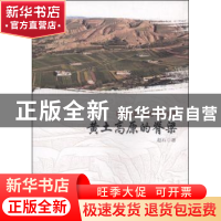 正版 幸福陕北,我心中的长歌:黄土高原的脊梁 赵石 中国文联出