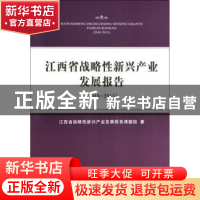 正版 江西省战略性新兴产业发展报告:2010-2013 江西省战略性新兴